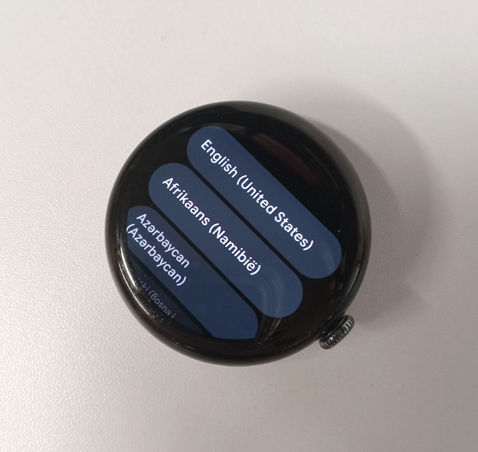 Google Pixel Watch 3 45mm GRAY Grade B Good Condition Image 3